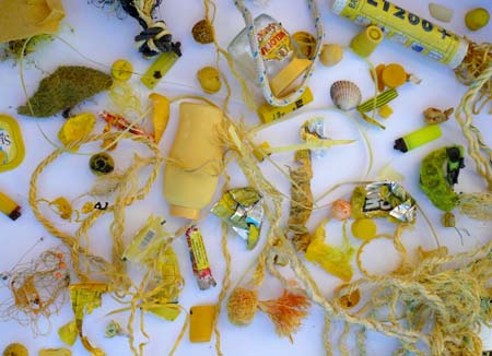 yellow collection 2008