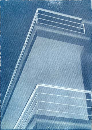 Cyanotype 2