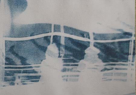Cyanotype 3