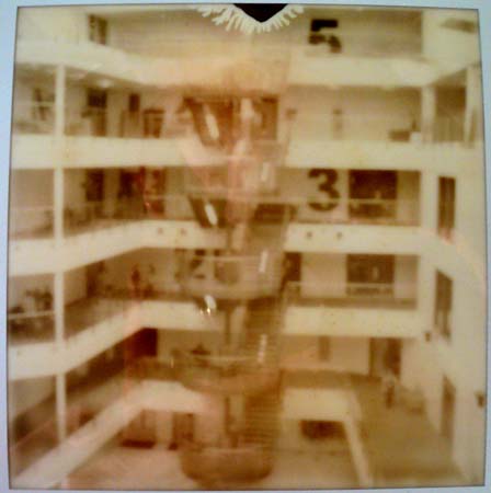 Polaroid 2