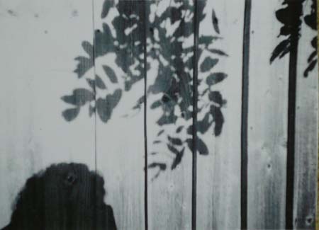 toy camera fence shadow