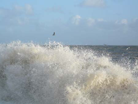 Splash 2009