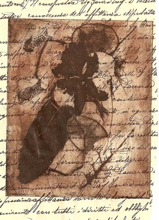 Brown on Italian paper - Etching